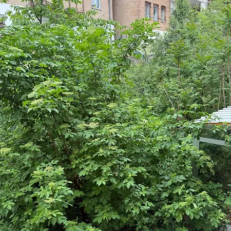 Апартаменты Urban Getaway With Free Parking Сараево